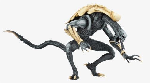Transparent Chrysalis Png - Alien Vs Predator Arcade Figures, Png Download, Free Download