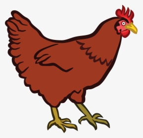 Chick Clipart Red Hen - Hen Clipart, HD Png Download, Free Download