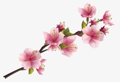 Sakura Pink Flowers Png Free Images - Transparent Pink Flower Png, Png Download, Free Download