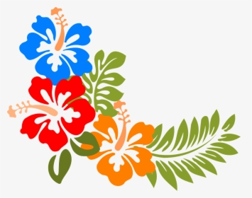 Hibiscus, Hawaii, Flowers, Tropical, Colorful, Spring - Hawaiian Flowers Vector, HD Png Download, Free Download
