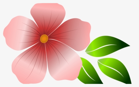 Transparent Pink Hibiscus Clipart - Graphic Flower, HD Png Download, Free Download