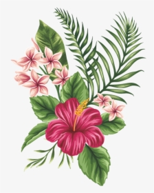 Tropical Flower Vector Png Clipart , Png Download - Tropical Flowers Drawing, Transparent Png, Free Download