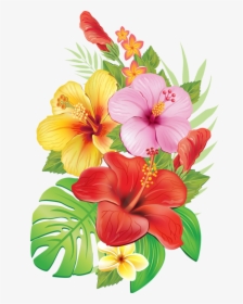 Hibiscus Flower Drawing Stock Vector © Katerinamk - Tropical Flowers Vintage Png, Transparent Png, Free Download