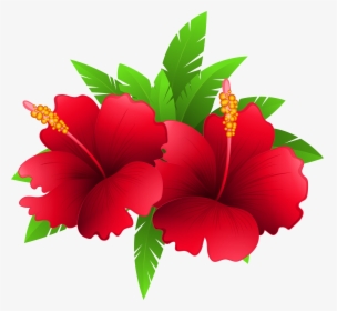 Exotic Flowers And Plant Png Clipart Image Festa Havaiana - Good Morning Image Wednesday, Transparent Png, Free Download