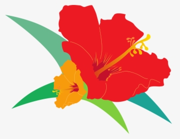 Hibiscus Bird"s Flowers Red Free Picture - 扶桑 花 Png, Transparent Png, Free Download