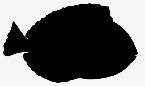 Silhouette Fish Blue Tang Clip Art - California Flounder, HD Png Download, Free Download