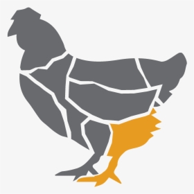 Chicken Thigh - Chicken Breast Clipart Png, Transparent Png, Free Download