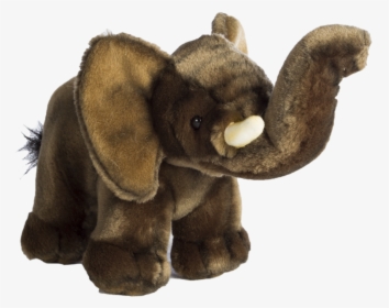 Transparent Baby Elephant Png - Indian Elephant, Png Download, Free Download