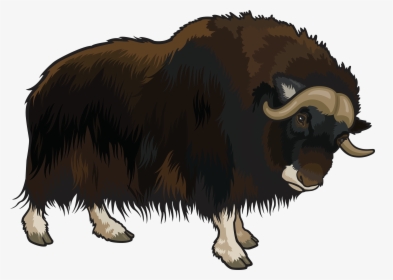 Buffalo Png Clipart - Buffalo Clipart Png, Transparent Png, Free Download