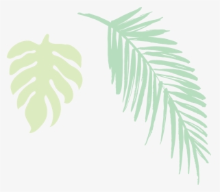 2019 Jungle Leaves Light - Darkness, HD Png Download, Free Download