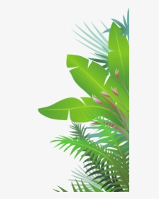Jungle Leaves - Transparent Jungle Leaves Clipart, HD Png Download, Free Download