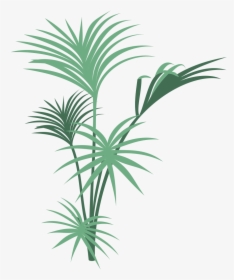 Jungle Plants Png - Cover Page Designs For Lesson Plan, Transparent Png, Free Download