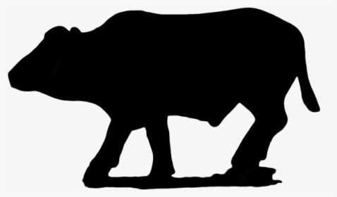 African Buffalo Png Transparent Images - Bull, Png Download, Free Download