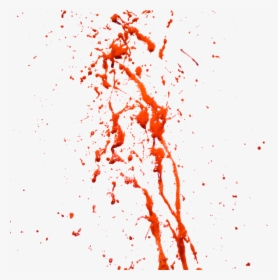 Blood Png For Free Download On - Blood With No Background, Transparent Png, Free Download