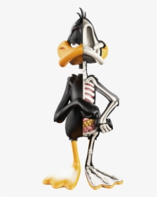 Xxray Daffy Duck - Jason Freeny Looney Tunes, HD Png Download, Free Download