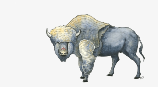 Buffalo Art, Pen & Ink And Watercolor - Bull, HD Png Download, Free Download