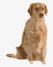 Companion Dog,carnivoran,nova Scotia Duck Tolling Retriever - Golden Retrievers In Winter, HD Png Download, Free Download
