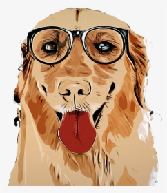 Golden Retriever Wearing Glasses Cartoon, HD Png Download, Free Download