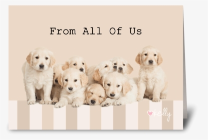Golden Retriever Puppies From All Of Us Greeting Card - Labrador Retriever, HD Png Download, Free Download