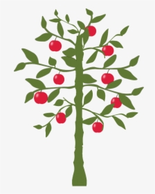 Apple Tree, Tree, Apple, Nature, Fruit, Green, Leaf - World's Fastest Indian Lemon Tree, HD Png Download, Free Download