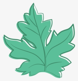 Plant,leaf,tree - Draw Water Melon Leaf, HD Png Download, Free Download