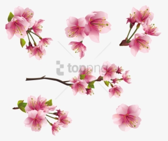 Free Png Spring Png Png Images Transparent - Pink Tiny Flowers Png, Png Download, Free Download