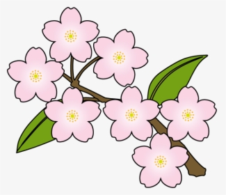 Cherry Blossoms Clipart - Cherry Blossom Flower Line Art, HD Png Download, Free Download