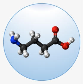 Succinic Acid 3d Structure, HD Png Download, Free Download