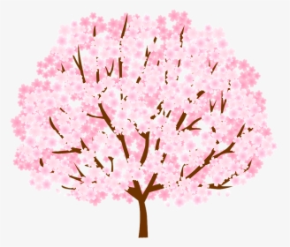 Tree, Cherry Blossom, Spring, Nature, Blossom, Pink - Cherry Blossom, HD Png Download, Free Download
