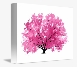 Transparent Magnolia Tree Clipart - Cartoon Magnolia Tree, HD Png Download, Free Download