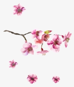 Cherry Blossom Japanese Design, HD Png Download, Free Download