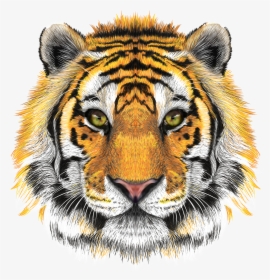 Tiger Face Png Transparent Background - Tiger Head Png, Png Download, Free Download