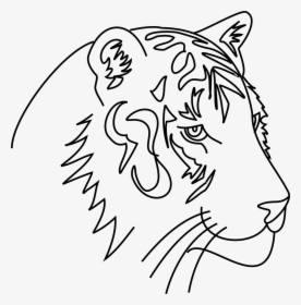 Tiger Cat Animal Free Picture - Drawing Hewan Keren Png, Transparent Png, Free Download