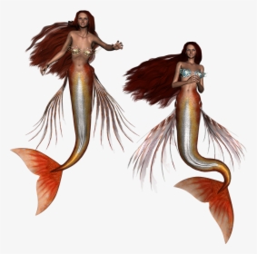 Mermaid, Fantasy, Siren, Mertail, Girl, Tail, Character - ไซเรน กับ นาง เงือก, HD Png Download, Free Download
