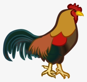 Cock Png Clipart, Transparent Png, Free Download