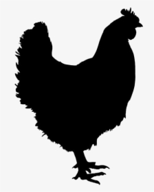 Chicken Png Transparent Images - Chicken Silhouette, Png Download, Free Download