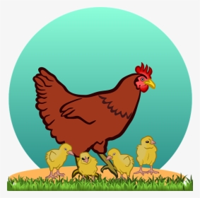 Hen, Hen With Chicks, Chicks, Chicken, Chickens, Chick - Chicken Clipart, HD Png Download, Free Download