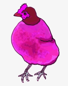 Chicken Hen Vector Image Free Download Png Clipart - Pink Chicken Png, Transparent Png, Free Download