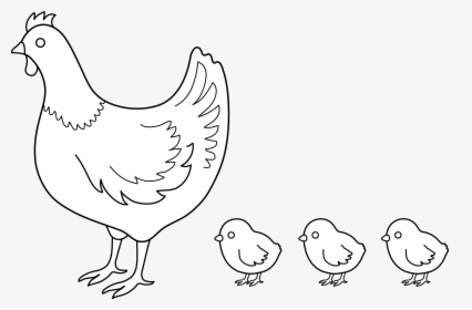 Hen And Chicks Coloring Page - Coloring Book, HD Png Download, Free Download