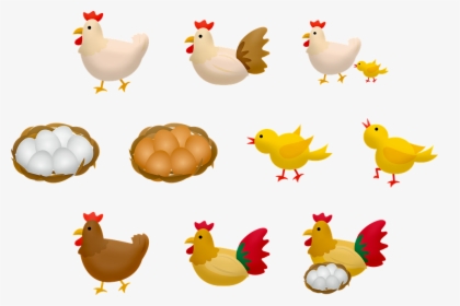 Chicken And Eggs, Baby Chick, Mother Hen, Eggs - แม่ ไก่ อยู่ ใน ตะกร้า, HD Png Download, Free Download