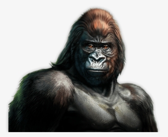 Gorilla™ - Gorilla Slot, HD Png Download, Free Download