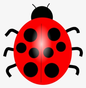 Download Red Ladybug Transparent Images Png For Designing - Ladybug Clip Art, Png Download, Free Download