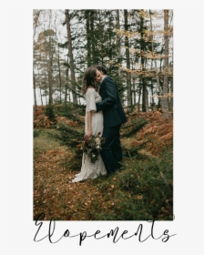 Sarah Longworth Photography Elopements - Old-growth Forest, HD Png Download, Free Download