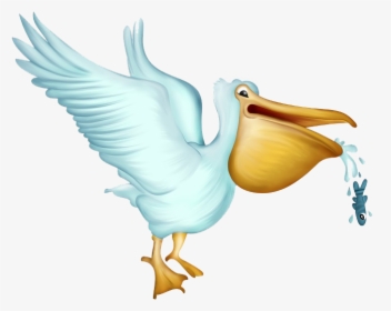 Pelican Png Free Download - Pelican Cartoon Png, Transparent Png, Free Download