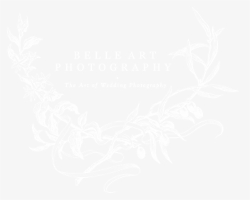 Belle Art Photography - Photography Png For Pic Art, Transparent Png, Free Download