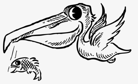 Pelican With Fish Clip Arts - Cartoon Pelican, HD Png Download, Free Download