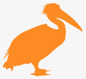 Pelican Silhouette, HD Png Download, Free Download