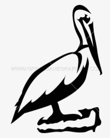 Pelican Png Black And White - Black And White Pelican Clip Art, Transparent Png, Free Download