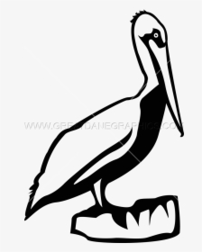 Pixels Production Ready Artwork - Brown Pelican, HD Png Download, Free Download