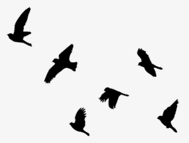 Bird Flight Clip Art Pigeons And Doves Image - Birds Flying Silhouette Tattoo, HD Png Download, Free Download
